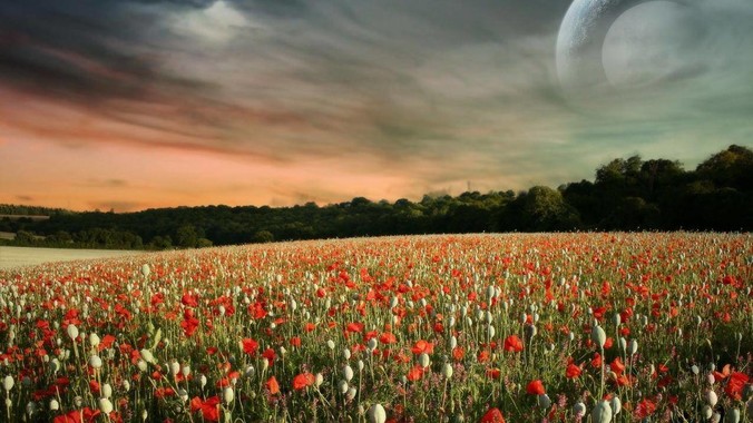 为什么 Go 语言的 Error Handling 被某些人认为是一个败笔?